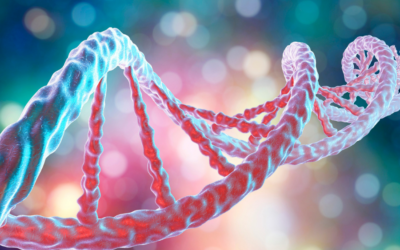 DNA E RNA – ESTRUTURAS E FUNÇÕES